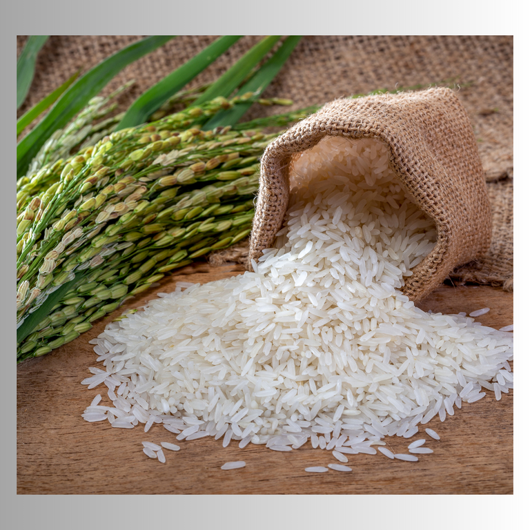 Rice | Noddles