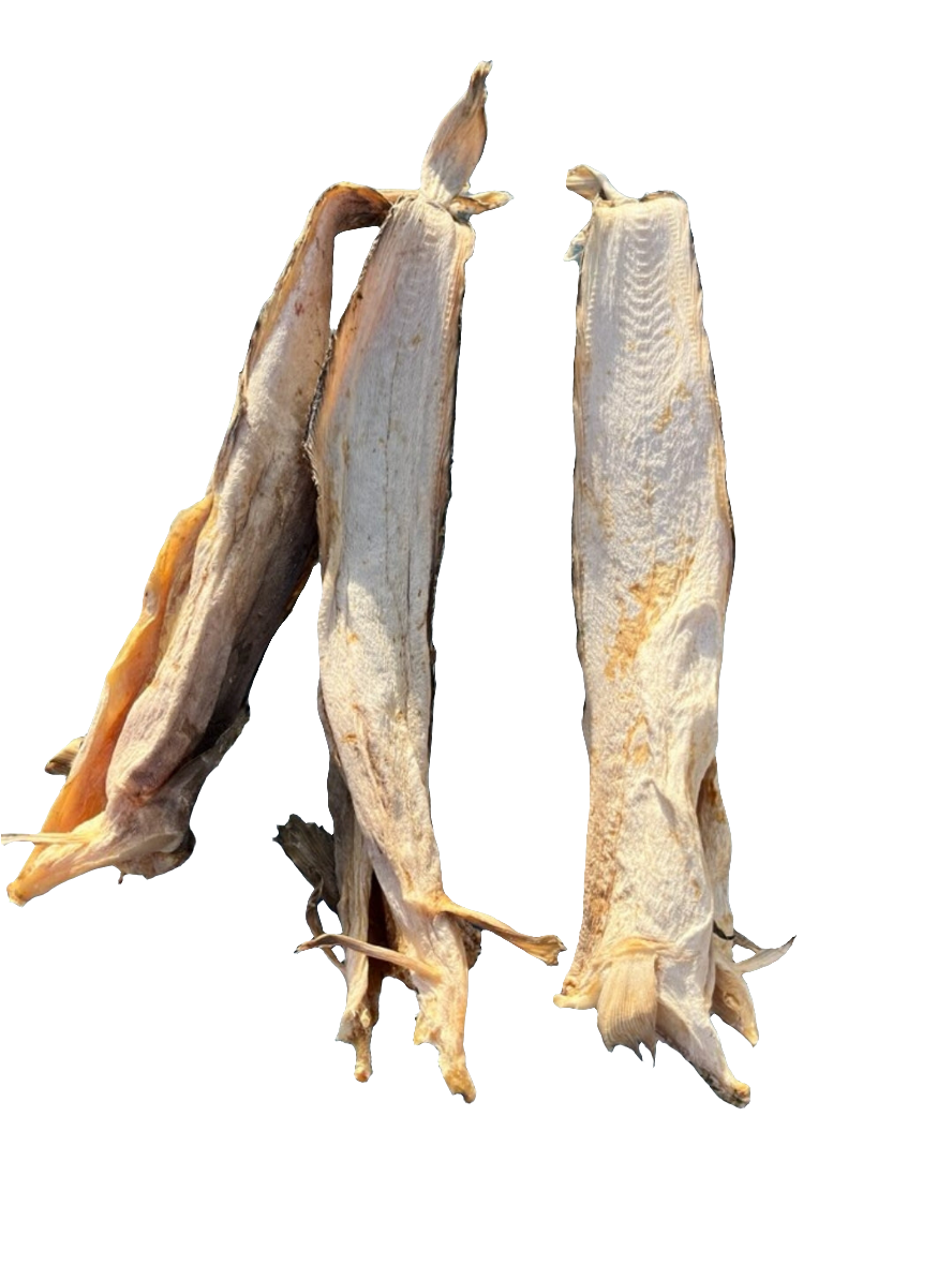 Stockfish of Tusk (Brosme) 30/50cm